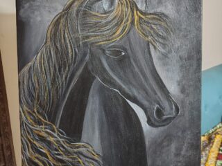 Black-Beauty