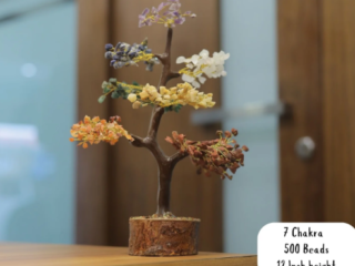 Capture2
